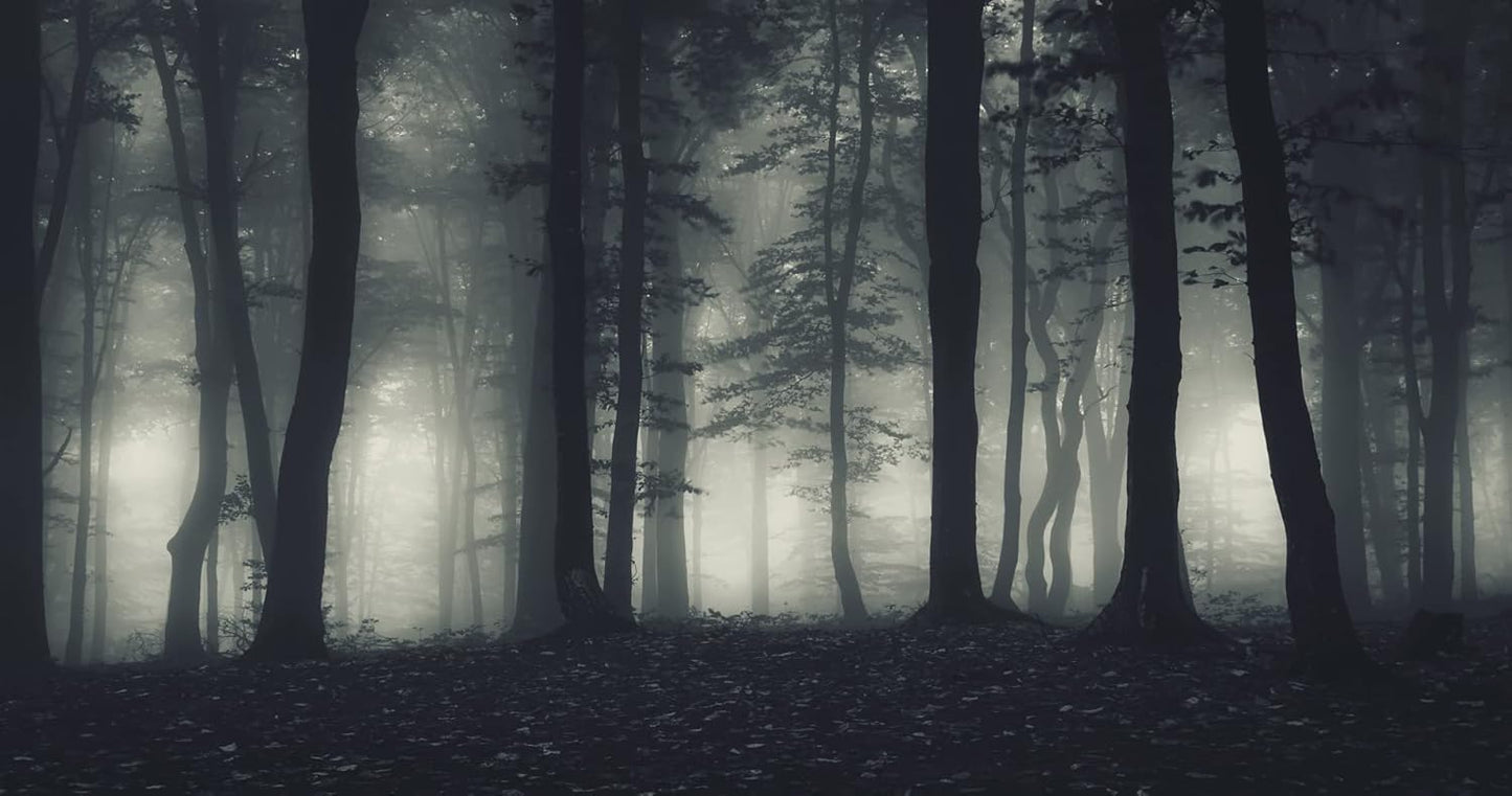 Foggy Forest Wallpaper Misty Jungle Rainforest Trees Nature Landscape Wall Mural(Not Peel n' Stick)