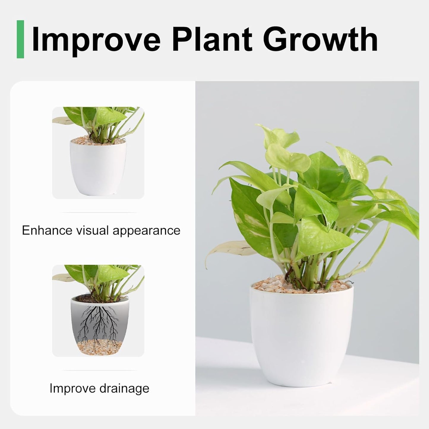 5 lbs Coarse Silica Sand for Indoor Plants, 1/5 Inch Natural Decorative Gravel for Vases, Aquariums, Terrarium, Fish Tank, Drainage Rocks for Potted Plants, Bamboo, Succulent, Crafts, Cactus