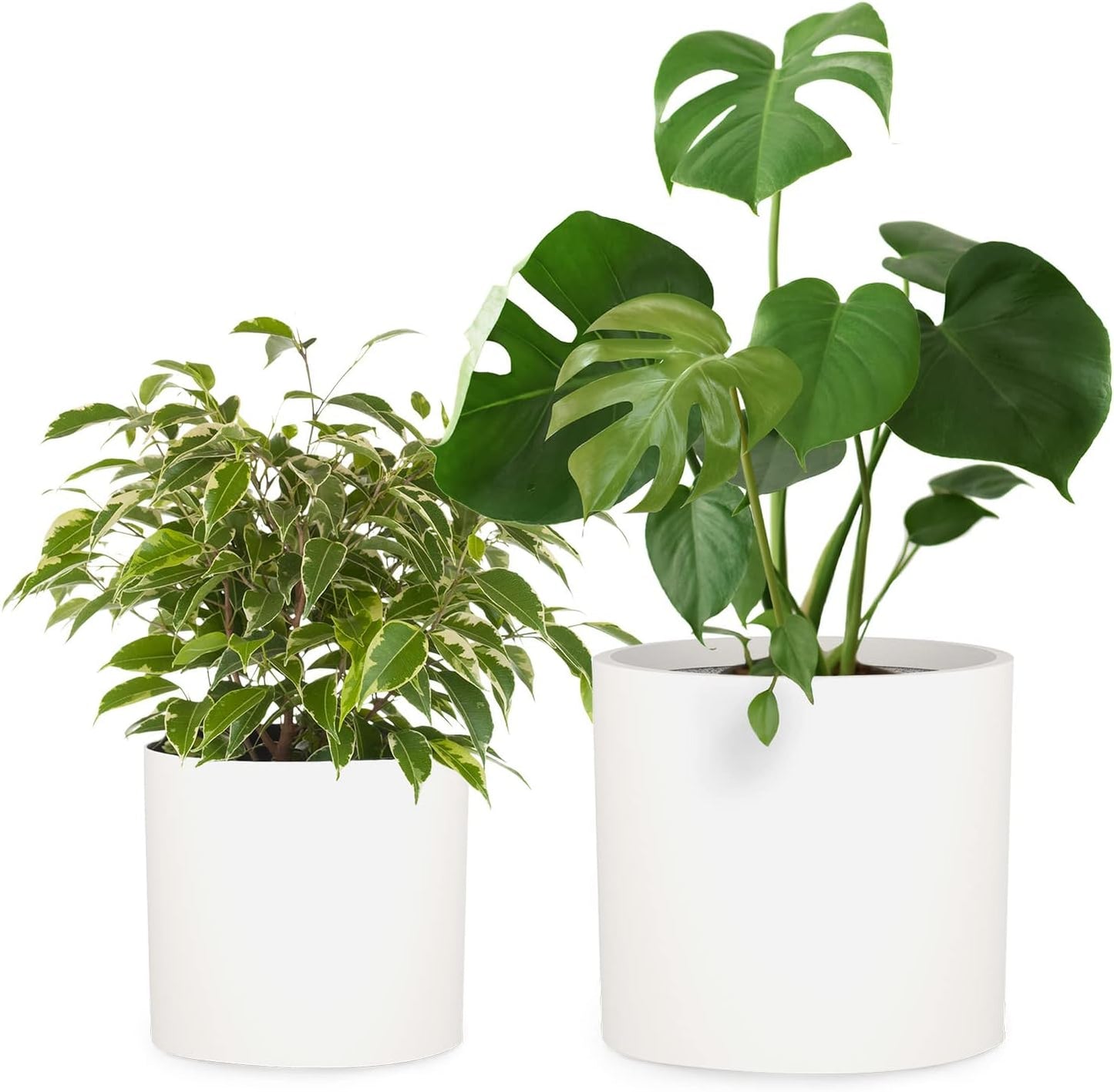 Fox & Fern 12" & 14.6" Large Planters (Set of 2) — Premium Lightweight Fiberstone Matte White Plant Pots with Drainage Plug; Extra Large Planters for Indoor & Outdoor; Weather Resistant & UV Resistant