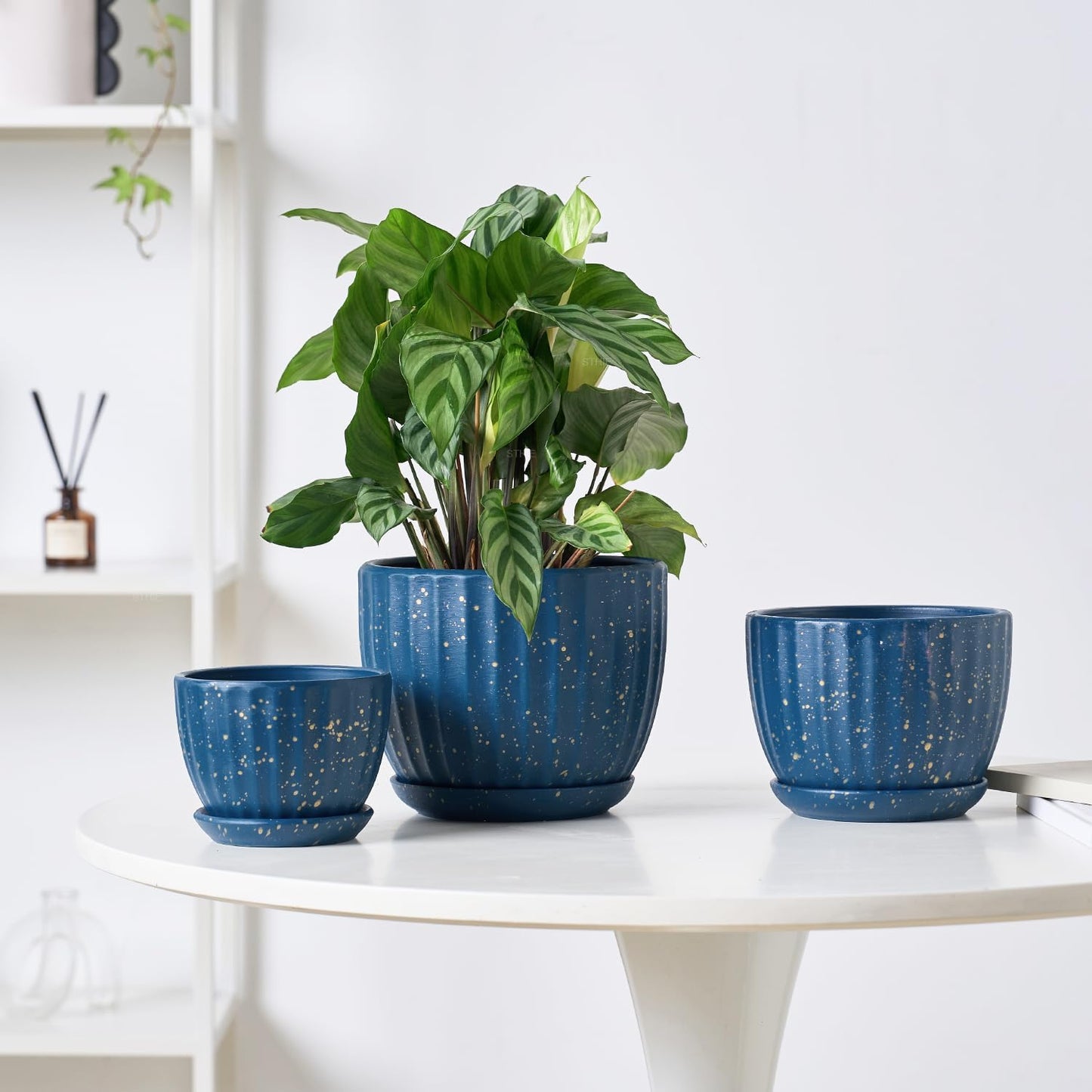4/5/6 Inches Ceramic Plant Pots with Drainage Holes and Saucers, Round Flower Pots for Indoor Plant, Modern Flower Planters Set of 3 (Blue with Dot-Big Size)
