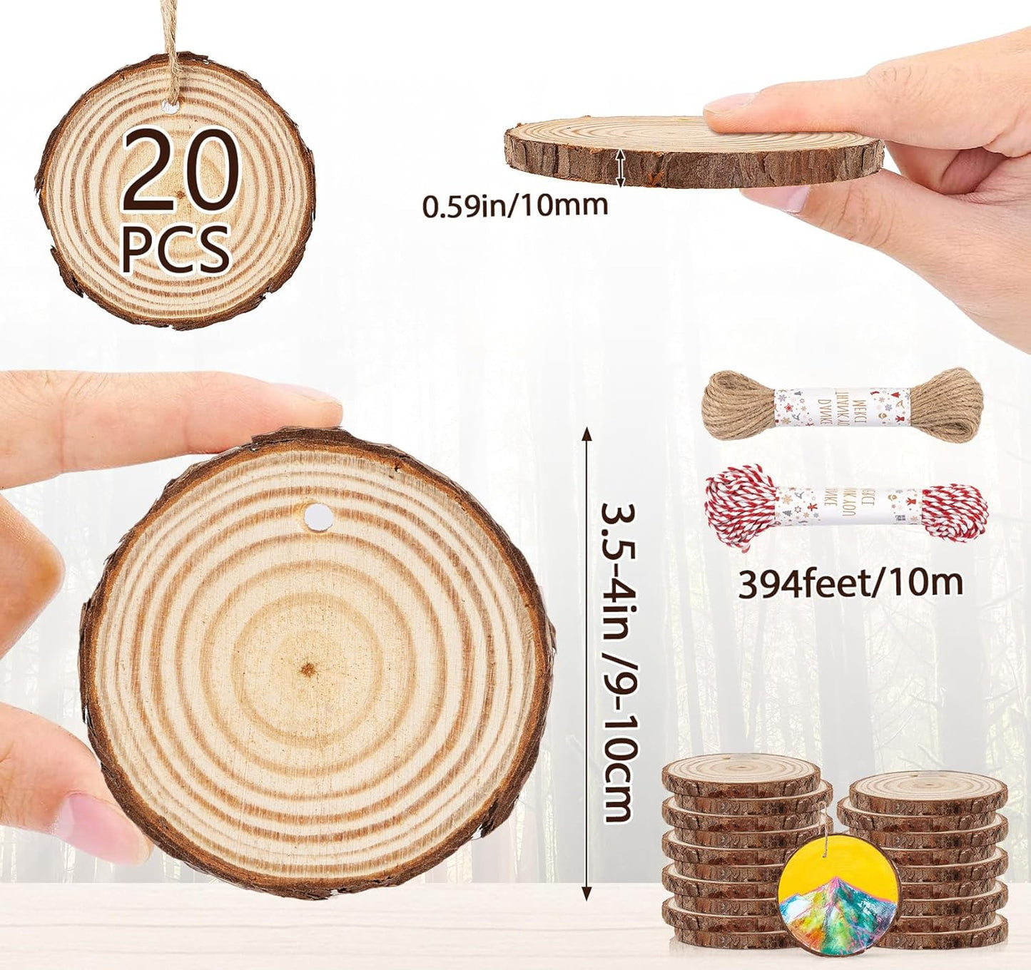 20 Pcs Wooden Discs for Crafts, 3.5''-4'' Wood Circles for Crafts, Wood Slices for Painting DIY Christmas Ornaments Party Wall Home Wedding Decor